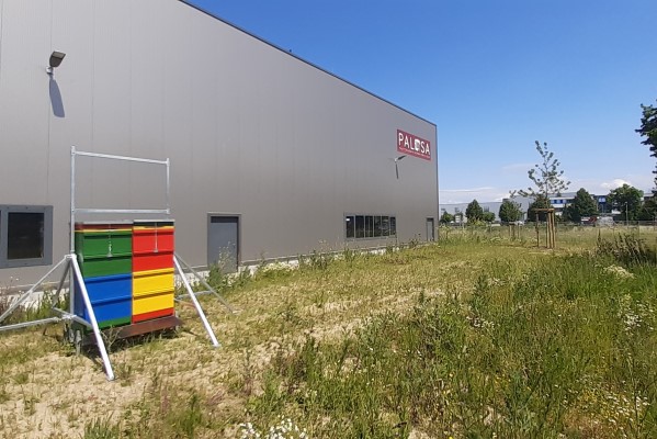 Firmengebäude mit Bienenstock und Wiese für die Umwelt
